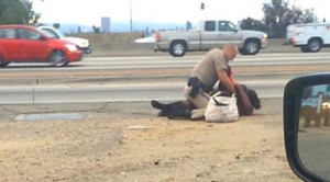 chp beating MarlenePinnock-CBS image